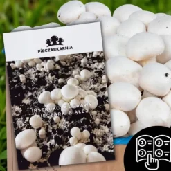 Svampodlingskit 5 kg mycel Hemma svampodling + Gratis Kit För Växt- & Örtplantering