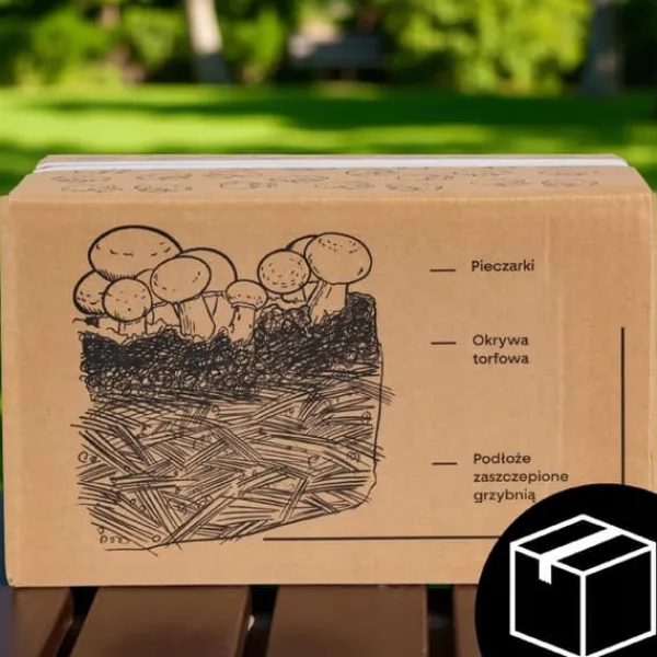Svampodlingskit 5 kg mycel Hemma svampodling + Gratis Kit För Växt- & Örtplantering