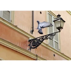 Hot Swissinno Natural Control Birds Away Spikes skydd mot duvor Funktionstyp Avskräckande 1 st Insektsmedel & Djuravvisande Medel
