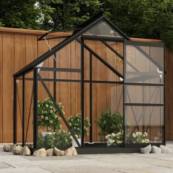 The Living Store Glasväxthus antracit 155x103x191 cm aluminium - Växthus Växthus