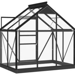 The Living Store Glasväxthus antracit 155x103x191 cm aluminium - Växthus Växthus
