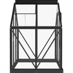 The Living Store Glasväxthus antracit 155x103x191 cm aluminium - Växthus Växthus