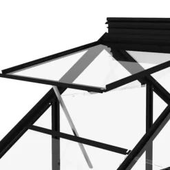 The Living Store Glasväxthus antracit 155x103x191 cm aluminium - Växthus Växthus