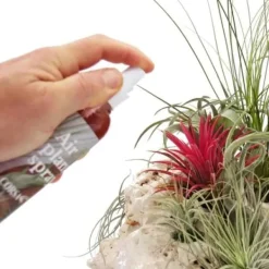 Hot Tillandsia gödsel - färdig att blanda i sprayflaskan - 150ml Gödningsmedel