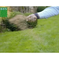 Torr Ground Replenishment Lawn - BHS - 3kg | 150 m² | Stark och hållbar, med utmärkt hållbarhet och tolerans mot tramp.
