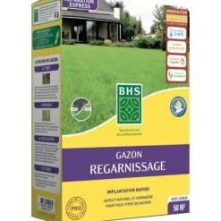 Clearance Torr återväxtgräs - BHS - 1 kg | 40 m² | Stark och hållbar, med utmärkt hållbarhet och tålighet mot trampning. Jord & Sand
