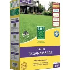 Torrtäckningsgräs för markpåfyllning - BHS - 1 kg | 40 m² | Stark och hållbar, med utmärkt hållbarhet och tålighet mot trampning.