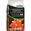 Discount TORVSUBSTRAT JORD PH 5,5-6,5 BIOVITA 80L Jord & Sand