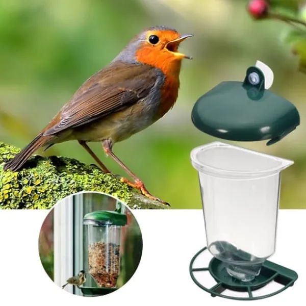 Transparent fågelmatare Automatisk fågelmatare i plast med sugkoppar