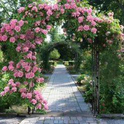 Best Trädgårdsbåge & Spaljé - Gotisk Portal - 216 cm Hög - Pulverlackerat Järn - För Klätterväxter & Bröllop - Utomhus - Svart Valvbågar, Spaljéer, Bersåer & Pergolor