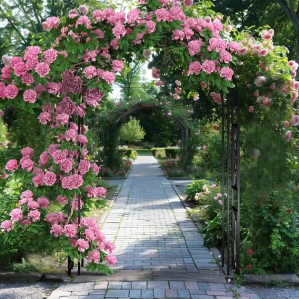 Best Trädgårdsbåge & Spaljé - Gotisk Portal - 216 cm Hög - Pulverlackerat Järn - För Klätterväxter & Bröllop - Utomhus - Svart Valvbågar, Spaljéer, Bersåer & Pergolor