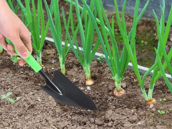 New Trädgårdsspade / Planteringsspade - 32 cm Trädgårdsverktyg