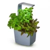 Clearance Tregren Kitchen Garden T3 Grå Kit För Växt- & Örtplantering