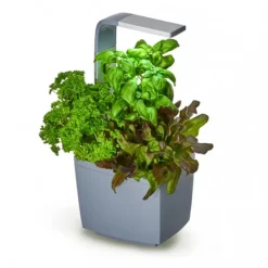 Clearance Tregren Kitchen Garden T3 Grå Kit För Växt- & Örtplantering