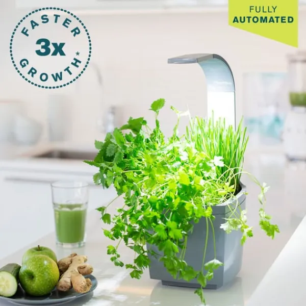Clearance Tregren Kitchen Garden T3 Grå Kit För Växt- & Örtplantering