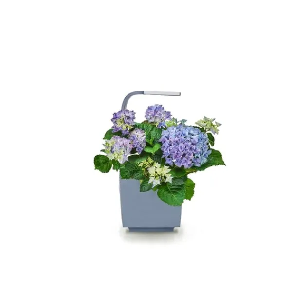 Clearance Tregren Kitchen Garden T3 Grå Kit För Växt- & Örtplantering