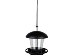 Trixie 54580, Hanging, Svart, Transparent, Plast, 0,9 l, Frön, 170 mm