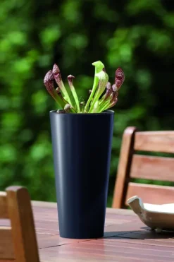 Online Tubus Slim DTUS300 Hög Blomkruka | Vit Krukor & Växtbehållare