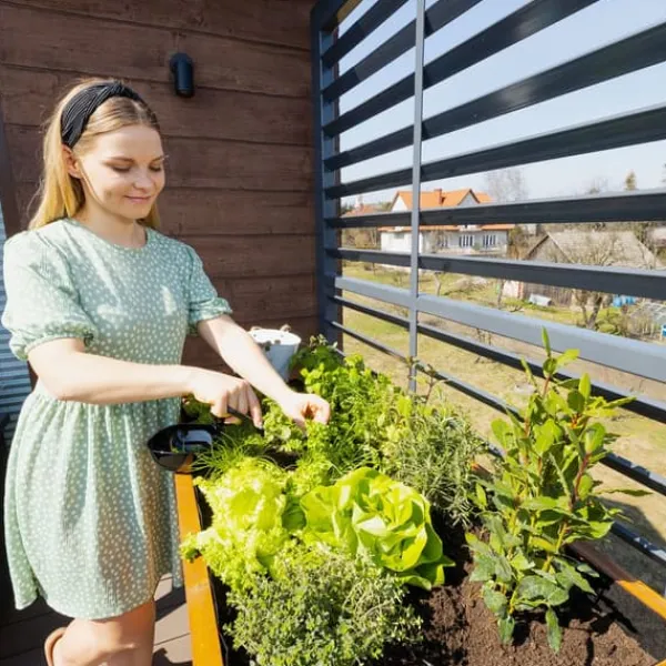 Upphöjd rabatt för balkong, terrass och trädgård 110x55x80cm - Träherbarium på ben - Planterlåda på ben för blommor, örter, grönsaker - Upphöjd låda f | CDON