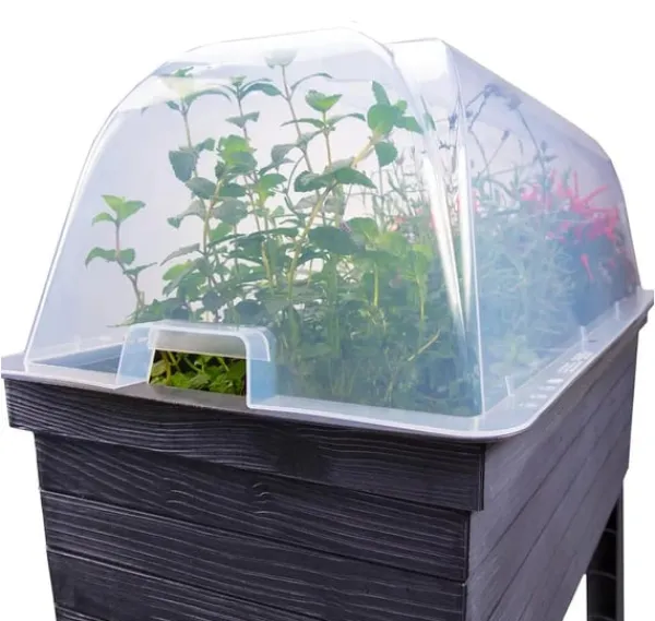 Urban cloche cover
