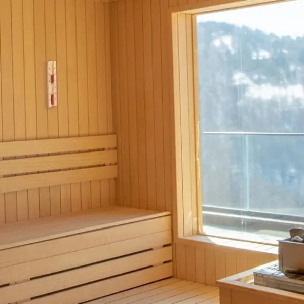 Utrustning - hamam - bastu - spa underhållsprodukt Tfa dostmann - 40.1058.11 Bastu