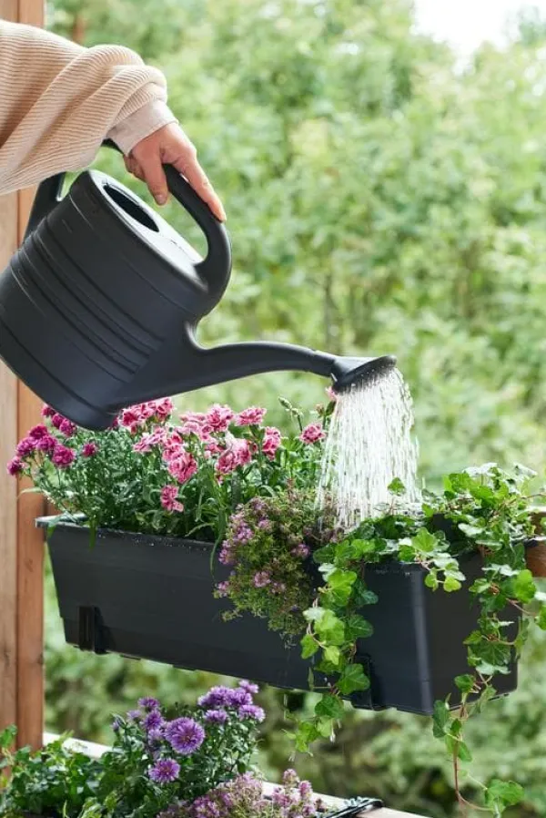 Best Vattenkanna 10 L Svart Splash Bevattning