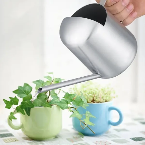Online Vattenkanna i rostfritt stål för trädgårdsväxter och blommor med lång öppning (300 ml) Bevattning