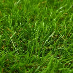 Konstgräsmatta 1x5 m/30 mm grön - Artificiell flora Trädgårdsverktyg