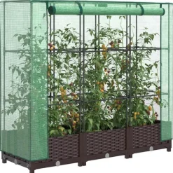 Outlet Odlingslåda med växthusöverdrag rottinglook 120x40x123 cm Växthus