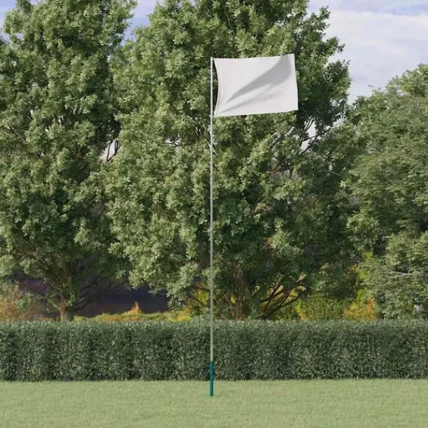 vidaXL Teleskopisk flaggstång silver 5,55 m aluminium