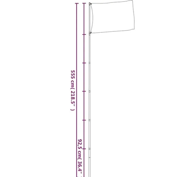 vidaXL Teleskopisk flaggstång silver 5,55 m aluminium