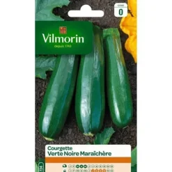 Hot VILMORIN Grön zucchini för svarta marknaden Fröer & Lökar