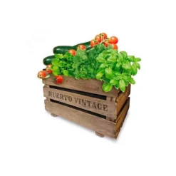 Vintage Eco Agreen Fruktlåda
