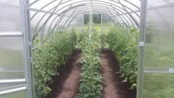 Best Växthus BALTIC 3x8m med 6 mm polykarbonatbeläggning Växthus