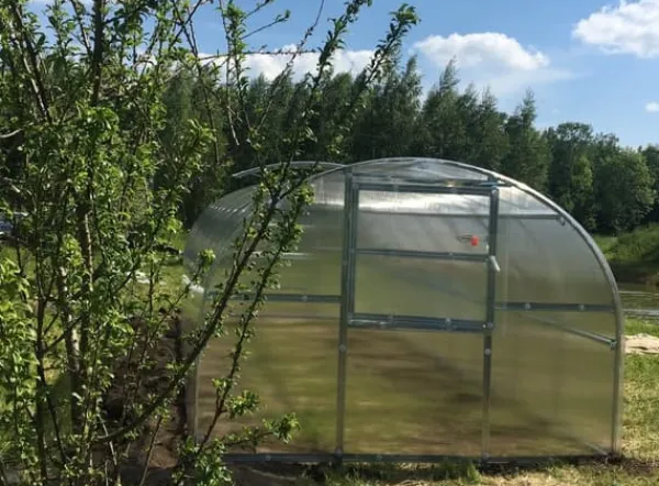 Best Växthus BALTIC 3x8m med 6 mm polykarbonatbeläggning Växthus
