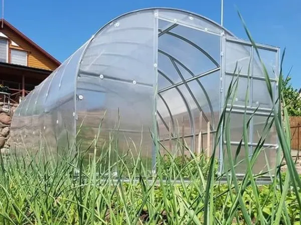 Baumera Växthus Klasika 3x4m med 6 mm polykarbonatbeläggning