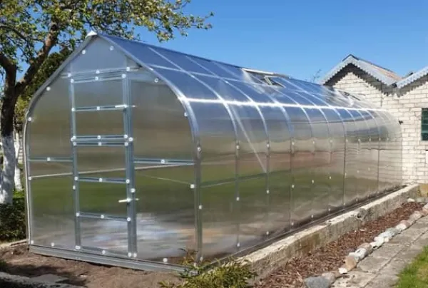 Sale Växthus STANDART 20 - 2,5x8m med 6 mm polykarbonatbeläggning Växthus