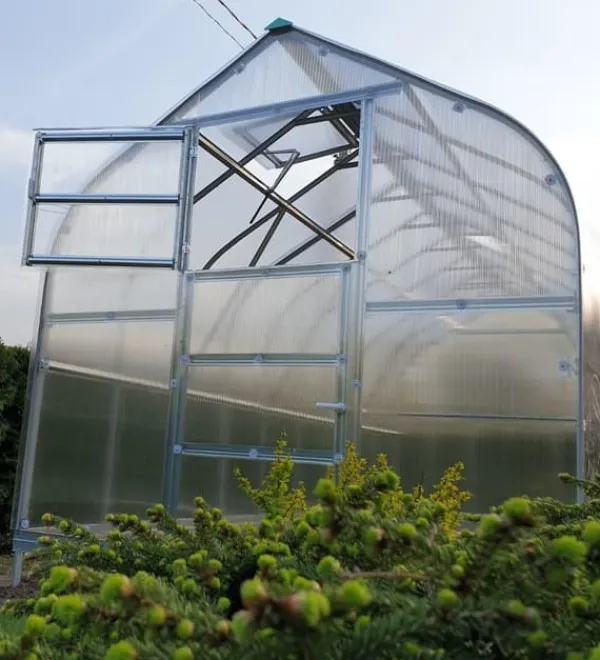 Sale Växthus STANDART 20 - 2,5x8m med 6 mm polykarbonatbeläggning Växthus