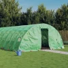vidaXL Växthus med stålram grön 30 m² 6x5x2,3 m