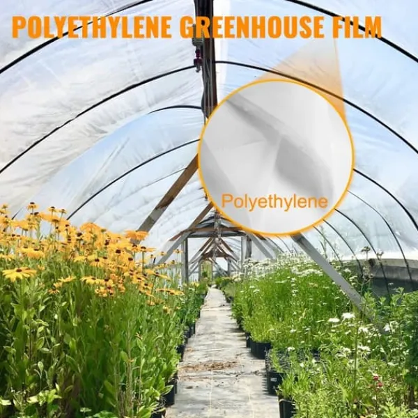 Växthusfilm 16x28 fot, 6 Mil tjock, UV-beständig polyetenfilm som håller värmen och har överlägsen hållfasthet.