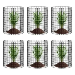 Clearance Växtskydd, 6-pack, 32x35,5 cm, Metall, Justerbar, Utomhus Kompostering