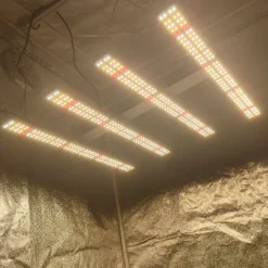 Best 240W Full Spectrum Växtbelysning, Utökat Täckningsområde, Energisnål,240W Kit För Växt- & Örtplantering