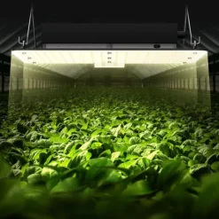 Clearance 300W kvantbräda LED odlingsväxtljus, fullspektrum, låg energiförbrukning/värme/ljud, för alla tillväxtstadier, enkel installation/justering Kit För Växt- & Örtplantering
