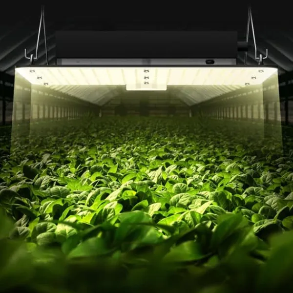 400W kvantbräda LED odlingsväxtljus, fullspektrum, låg energiförbrukning/värme/ljud, för alla tillväxtstadier, enkel installation/justering