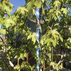 6x Fågelskrämmor - Reflekterande Spiraler