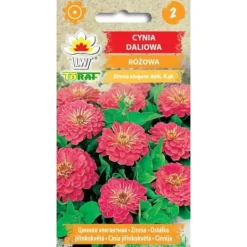 Online Zinnia dahlia ROSA 1g Fröer & Lökar